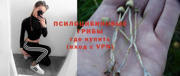spice Алексеевка
