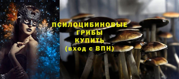 spice Алексеевка